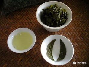 小正太陈观慧与半叶铁观音